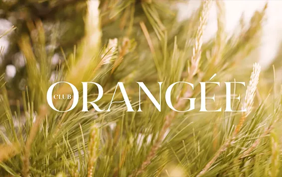 CLUB ORANGEE img